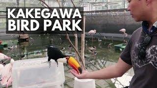 Amazing Japanese Bird Park in Kakegawa | Japan Vlog 24 | Lin Nyunt