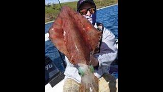 Smashing calamari on Kayaks2Fish Bathurst Rollfish carbon rod