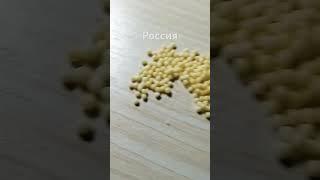 Россия