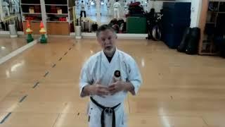 Arm Extension Exercise for Sanchin Kata Explainer