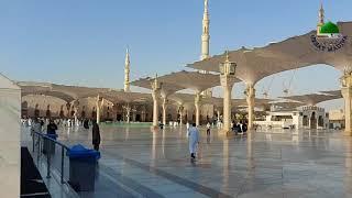 I Love Madina Sharif |Madina status for whatsapp |#great_madina