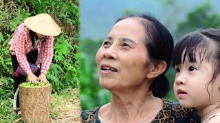 Sell ​​lychee at home with delicious dishes made with white canarium fruit