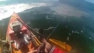 Fishing for Sharks | Escape Watersports