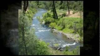 40 Acres Shasta County Land For Sale Near Redding, CA. In The Trinity Alps Preserve IGO, CA