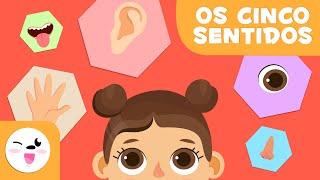 Os cinco sentidos para crianças - Educação Infantil