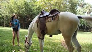 How to teach riding a horse Free Riding Girl Training Her Horse At Country Side #1