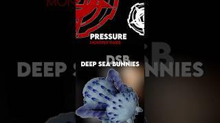 Deep Sea Bunnies - Pressure Monster Guide #roblox #pressure #shorts