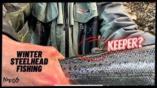 Hatchery or Wild?!? Oregon Winter Steelhead Fishing