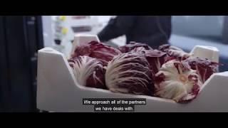 Foodsharing Copenhagen (English Version)