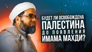 Будет ли освобождена Палестина до появления имама Махди?