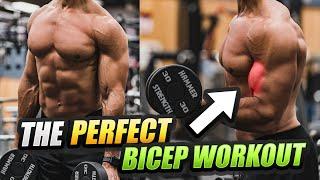 The PERFECT Biceps And Triceps Workout For Hypertrophy! | Do These 5 Exercises!