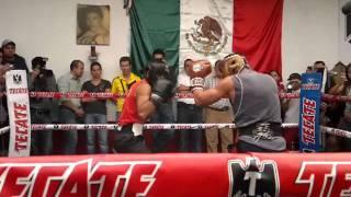 sparring JM Márquez vs 8 zaragoza