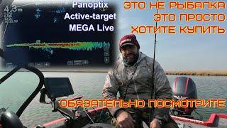 Вся правда про рыбалку с Panoptix, Active-target и  MEGA Live, мифы заблуждения и что Вас ждёт