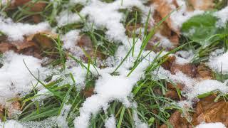 4K Time-Lapse of melting snow/Таяние снега на зелёной траве