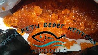 Икра кеты Берег Нептуна 11 кг в вакууме, качество премиум сорта