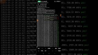 update script mining verus android