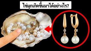 หอยนางรมผลิตไข่มุกขึ้นมาอย่างไรและเพื่ออะไร ?