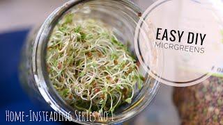 DIY Microgreens and Salad Sprouts - Home Insteading series