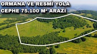 1719- ORMANA VE RESMİ KADASTRO YOLA CEPHE 75.100 M² ARAZİ