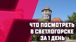 ЧТО ПОСМОТРЕТЬ В СВЕТЛОГОРСКЕ ЗА 1 ДЕНЬ.