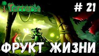 Terraria прохождение #21 Фрукт жизни