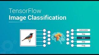 Tensorflow Image Classification on Custom Dataset