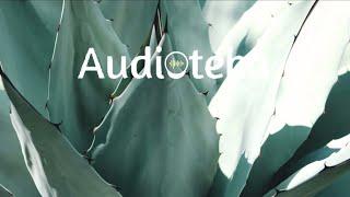 New Tires by Silent Partner track #3| No Copyrigh | vlog music |AUDIOTEKA