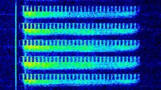 UVB-76/The Buzzer (4625Khz) LIVE