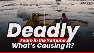 What's Behind the Toxic Foam Pollution in Yamuna River? | Tvista