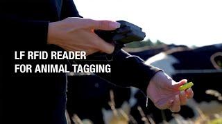 Handheld NAUTIZ X6: LF RFID reader for animal tagging