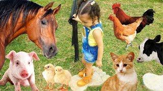 BRINCANDO COM OS ANIMAIS DA FAZENDA | SONS DOS ANIMAIS | BRINCANDO COM BIA E HENRY