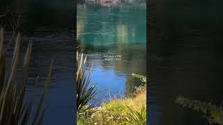 Water Flow and Green Trees | Nature’s Relaxing Vibes | Explore Nature with Fayza #song #music #love