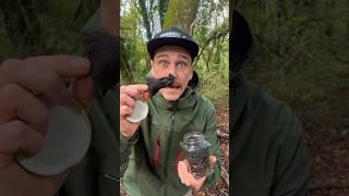 Mushroom with more protein than meat!  #wildmushrooms #fungi #mushroom #foraging #meateaters