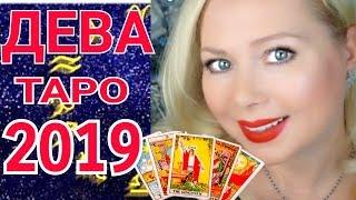 ДЕВА ТАРО ПРОГНОЗ на 2019 год от Olga Stella