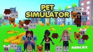 Roblox - Pet Simulator X