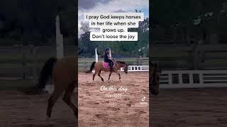 Cute horse video