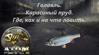 Atom Fishing II - Голавль. Карасиный пруд. Где, как и на что ловить.