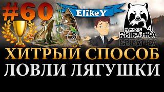 Трофейная Лягушка? • Хитрый Способ! • Фарм лягушки на фидер • Старый Острог • Русская Рыбалка 4 #60