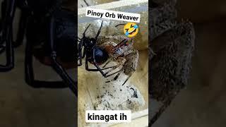 Kinagat eh 