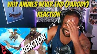 Why Animes Never End parody REACTION @Flashgitz