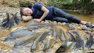 Follow the girl fishing in the dry season stream sell at the country market - Cooking | Ly Thi Tam