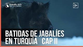 Batidas de Jabalíes en Turquía Capítulo 2 | Iberalia GO!