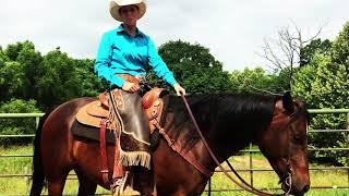 Horse Training with Ashley Purdin: Working A Drag - Equus Curito Equine Center