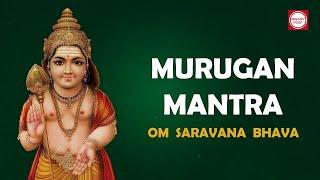 Om Saravana bhava | ஓம்சரவணபவ | Murugan Mantra | Soorasamharam 2024