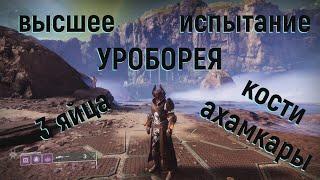 DESTINY 2 . Высшее испытание - Уроборея . Кости и яйца .