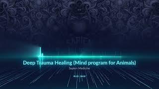 Deep Trauma Healing  Mind program for Animals