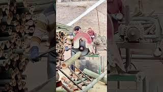 Workers Cutting Bamboo with Chainsaws: Efficient Processing for Versatile Use#village #lifestyle