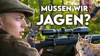 Rehe fressen unsere Wälder auf? Warum wir jagen (müssen) - Forst erklärt