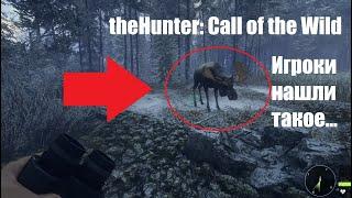 Какого играть в theHunter: Call of the Wild в 2022 году??