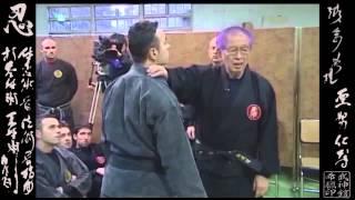 Taiden Shinden Okuden  体伝 心伝 奥 伝 Ninpo Taijutsu